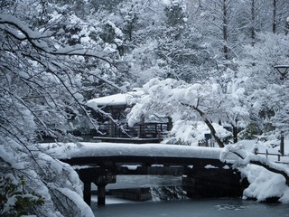 DSCF6637.jpg