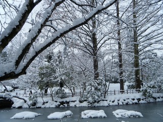 DSCF6638.jpg