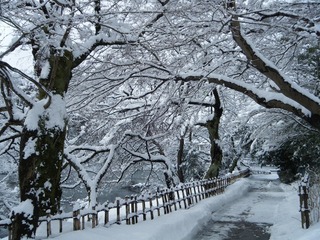 DSCF6641.jpg