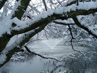 DSCF6644.jpg