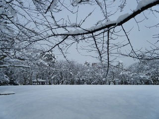DSCF6652.jpg
