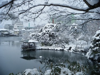 DSCF6655.jpg