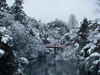 DSCF6667.jpg