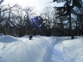 DSCF6684.jpg
