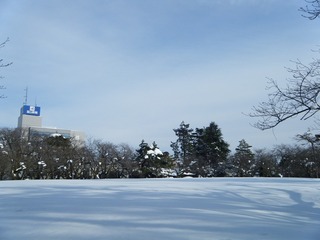 DSCF6687.jpg