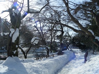 DSCF6688.jpg