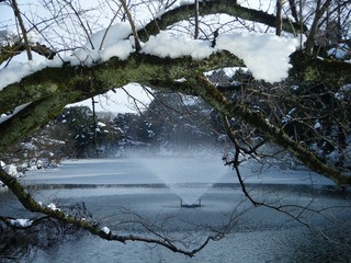 DSCF6689.jpg