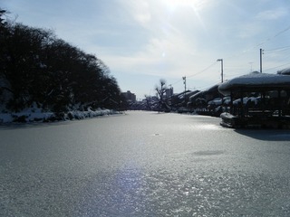 DSCF6694.jpg