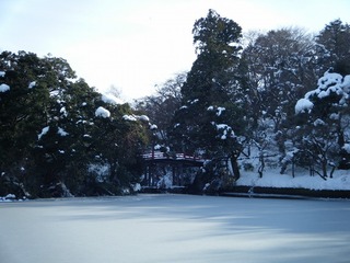 DSCF6695.jpg