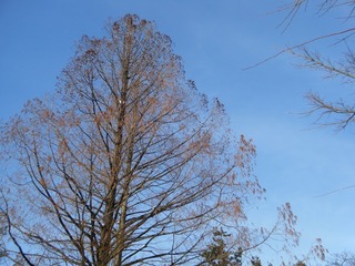 DSCF6699.jpg