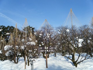 DSCF6704.jpg