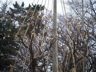 DSCF6891.jpg
