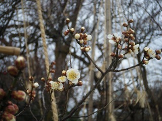 DSCF6892.jpg