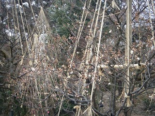 DSCF6897.jpg