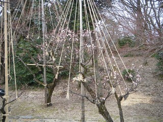 DSCF6898.jpg