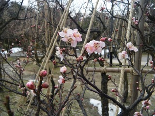 DSCF6903.jpg