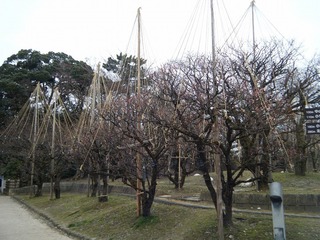 DSCF6926.jpg