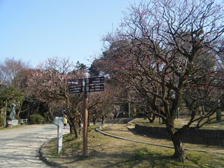 DSCF6962.jpg