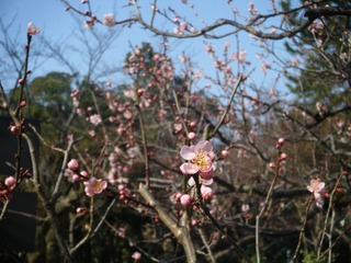 DSCF6965.jpg