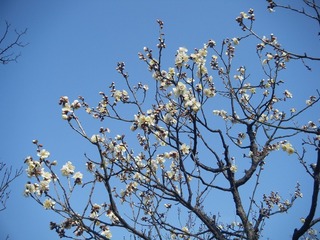 DSCF6967.jpg