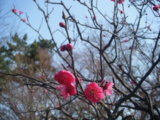 DSCF6970.jpg