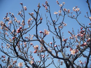 DSCF6977.jpg