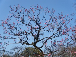DSCF6981.jpg