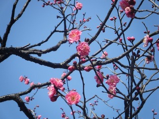 DSCF6983.jpg