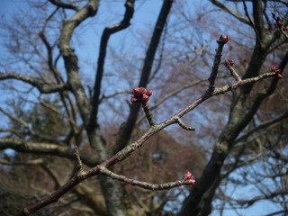 DSCF6991.jpg