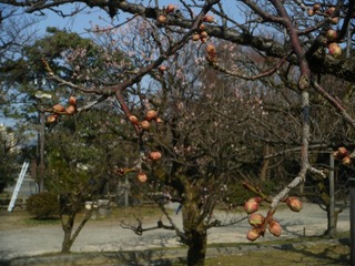 DSCF7023.jpg