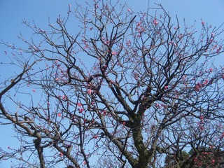 DSCF7028.jpg