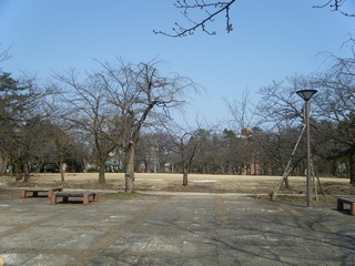 DSCF7038.jpg