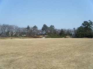DSCF7050.jpg