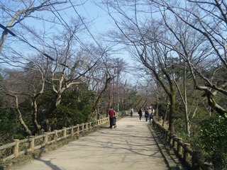 DSCF7060.jpg