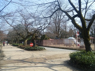 DSCF7063.jpg