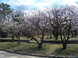 DSCF7159.jpg