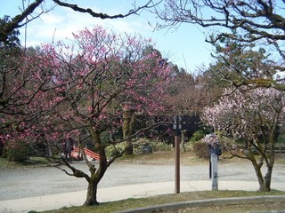 DSCF7164.jpg