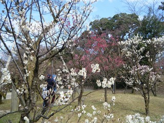 DSCF7165.jpg