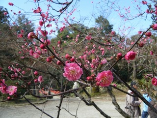 DSCF7168.jpg