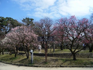 DSCF7171.jpg