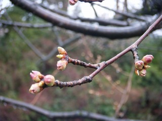 DSCF7187.jpg