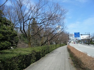 DSCF7311.jpg