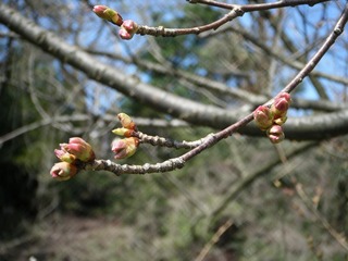 DSCF7313.jpg