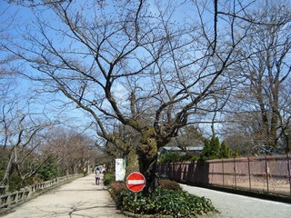 DSCF7327.jpg