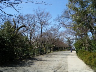 DSCF7332.jpg