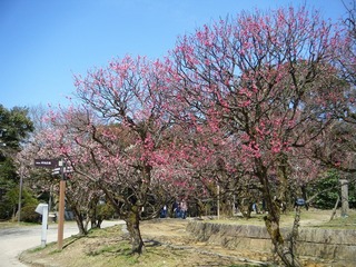 DSCF7334.jpg