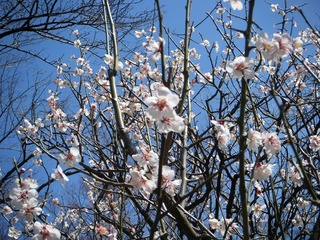 DSCF7340.jpg
