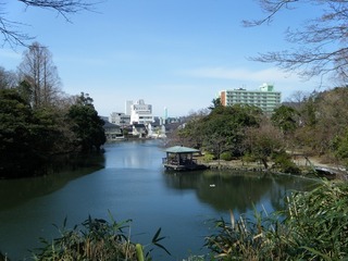 DSCF7356.jpg