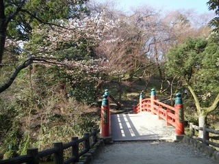 DSCF7520.jpg