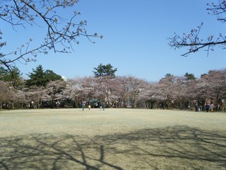 DSCF7521.jpg